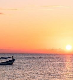 a peace to end all peace pdf