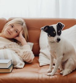 dog cancer survival guide book